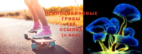 соль ск Горнозаводск