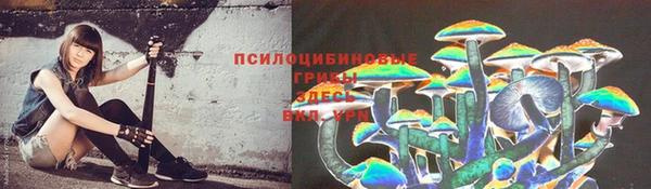 тгк Великий Новгород